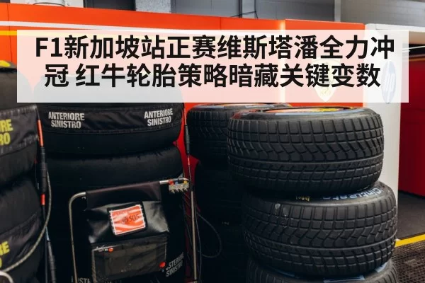 F1新加坡站正赛维斯塔潘全力冲冠 红牛轮胎策略暗藏关键变数